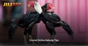 Crucial Online Sabong Tips