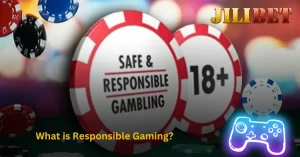 What is Responsible Gaming