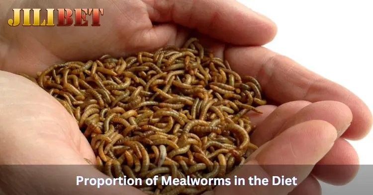 Proportion of Mealworms in the Diet